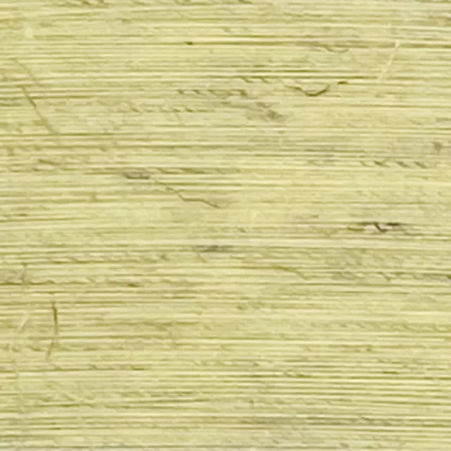 BIO HEMPORA BIO HEMPORA